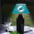 Miami Dolphins Bottle Bright LED Light Shade