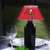 Tampa Bay Buccaneers Bottle Bright LED Light Shade  