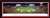 2017 Rose Bowl Panoramic Picture - USC Trojans Select Frame
