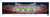 2023 Rose Bowl Game - Victory Celebration Panoramic Picture - Penn State Nittany Lions Unframed