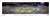 2024 Rose Bowl Champions Panoramic Picture - Michigan Wolverines Unframed