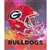 Georgia Bulldogs Diamond Painting Kraft Kit  