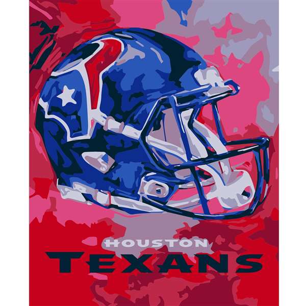 Houston Texans Paint By Number Art Kit