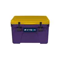 Kysek Purple and Gold Ice Chest 25L (26.42 Quart)