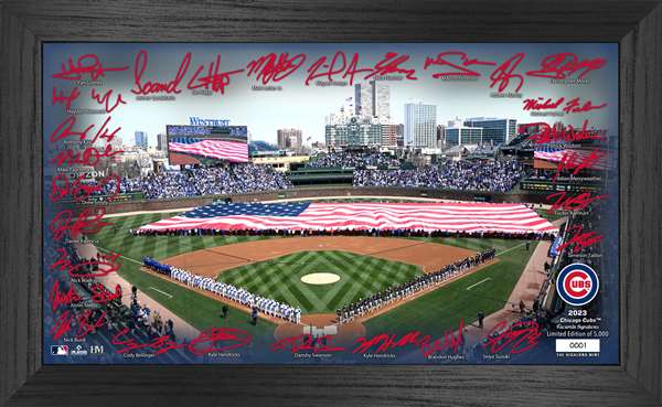 Chicago Cubs 2023 Signature Field Pano Photo Frame  