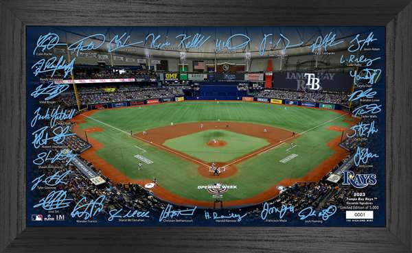 Tampa Bay Rays 2023 Signature Field Photo Frame  