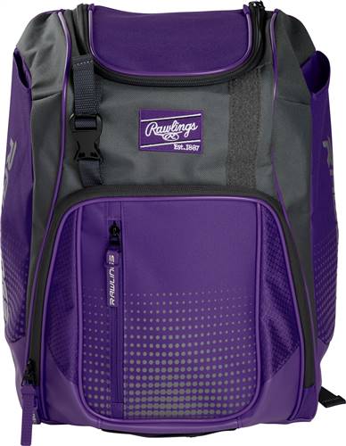 Rawlings Franchise Youth Players Backpack - Purple  