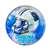 Carolina Panthers Glass Dome Paperweight Glass Dome Paperweight  