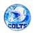 Indianapolis Colts Glass Dome Paperweight Glass Dome Paperweight  