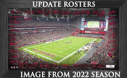 Arizona Cardinals 2023 NFL Signature Gridiron  