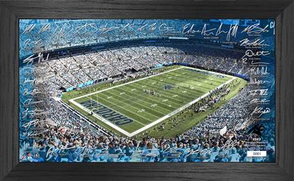 Carolina Panthers 2023 NFL Signature Gridiron  