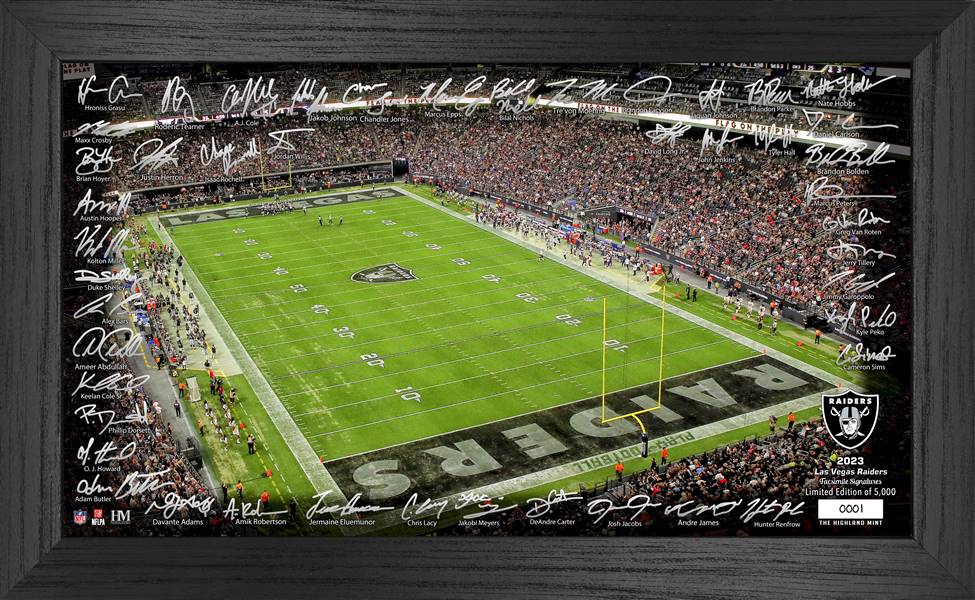 Las Vegas Raiders 2023 NFL Signature Gridiron  