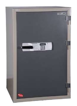 Hollon 2 Hour Office Safe HS-1200E  