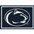 Penn State 4x6 Spirit Rug  