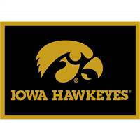 University Of Iowa 4x6 Spirit Rug