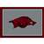 University Of Arkansas 4x6 Spirit Rug