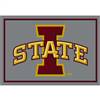 Iowa State University 4x6 Spirit Rug