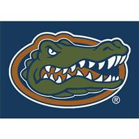 University Of Florida 4x6 Spirit Rug