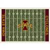 Iowa State University 6x8 Homefield Rug