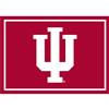 Indiana University 8x11 Spirit Rug