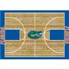 University Of Florida 4x6 Courtside Rug