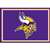 Minnesota Vikings 3x4  Area  Rug