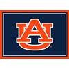 Auburn University 3x4  Area  Rug