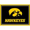 University Of Iowa 3x4  Area  Rug