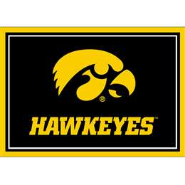 University Of Iowa 3x4  Area  Rug