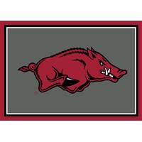 University Of Arkansas 3x4  Area  Rug