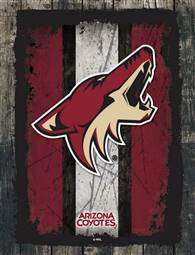 Arizona Coyotes 15 x 20 inches Canvas Wall Art