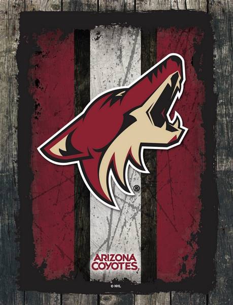 Arizona Coyotes 24 x 32 Canvas Wall Art