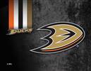 Anaheim Ducks 15 x 20 inches Canvas Wall Art