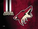 Arizona Coyotes 15 x 20 inches Canvas Wall Art