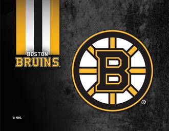 Boston Bruins 15 x 20 inches Canvas Wall Art