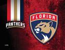 Florida Panthers 15 x 20 inches Canvas Wall Art