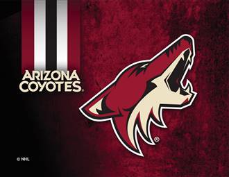 Arizona Coyotes 24 x 32 Canvas Wall Art