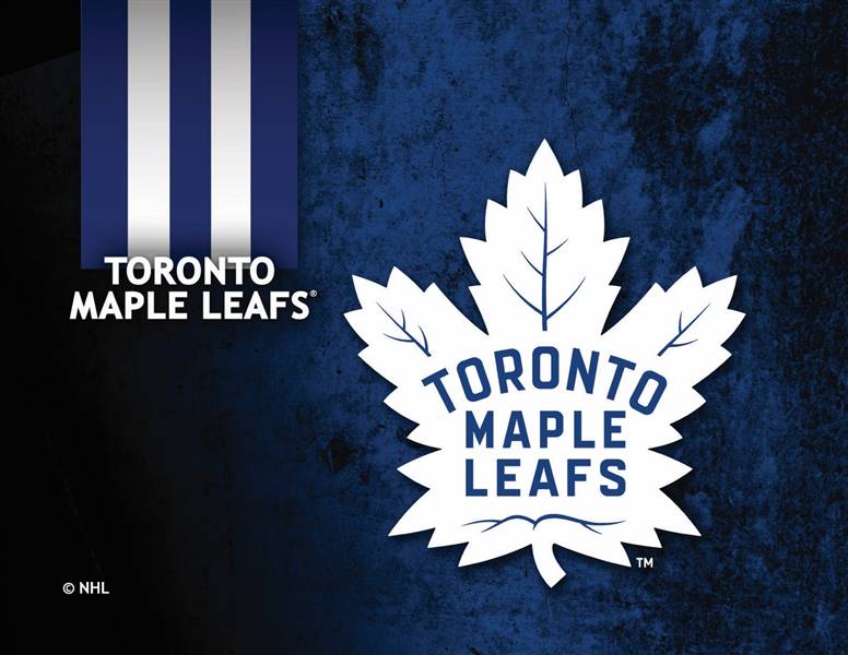 Toronto Maple Leafs 24 x 32 Canvas Wall Art