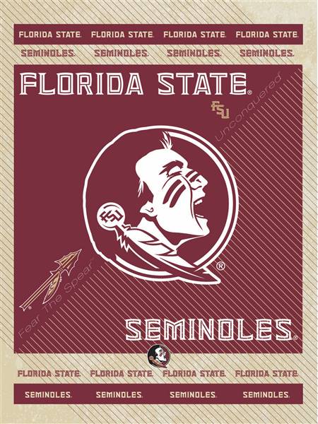 Florida State University 15x20 inches Canvas Wall Art