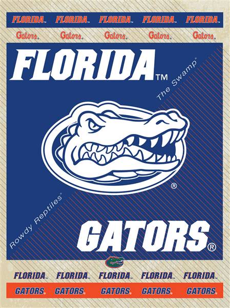 University of Florida 15x20 inches Canvas Wall Art