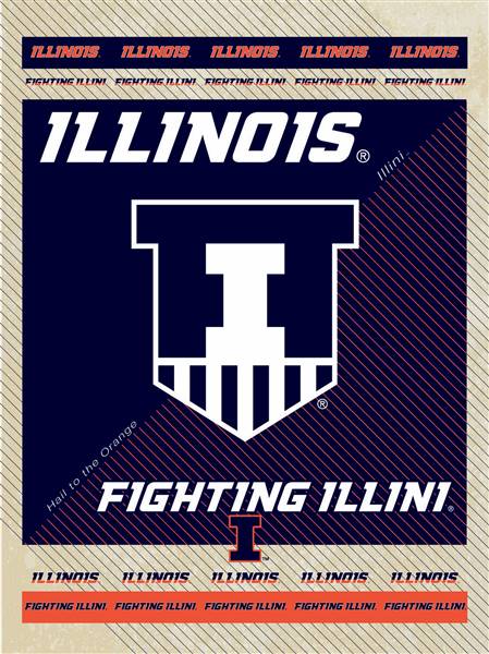 University of Illinois 15x20 inches Canvas Wall Art