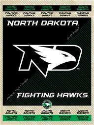 University of North Dakota 15x20 inches Canvas Wall Art