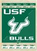 University of South Florida 15x20 inches Canvas Wall Art