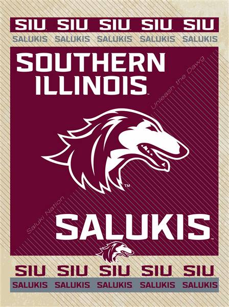 Southern Illinois University 15x20 inches Canvas Wall Art