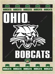 Ohio University 15x20 inches Canvas Wall Art