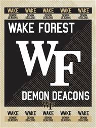 Wake Forest University 15x20 inches Canvas Wall Art