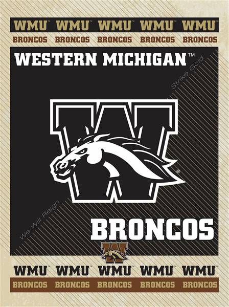 Western Michigan University 15x20 inches Canvas Wall Art