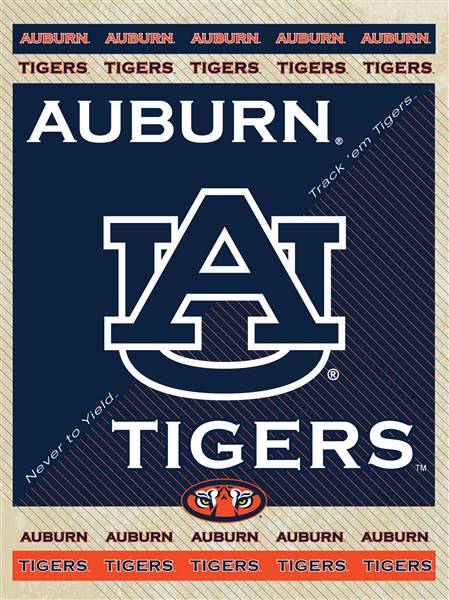 Auburn University 24x32 Canvas Wall Art