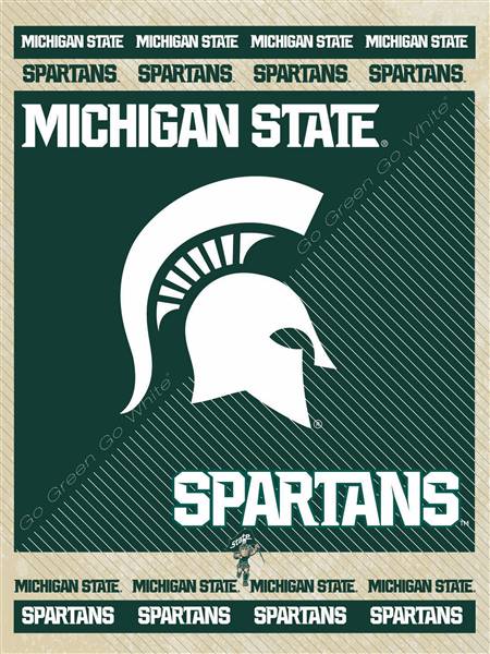 Michigan State University 24x32 Canvas Wall Art