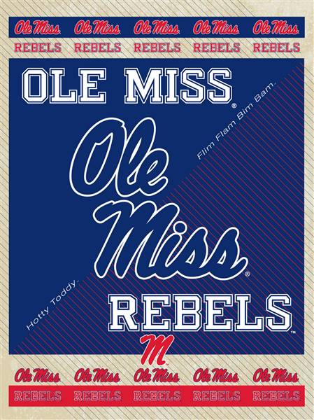 University of Mississippi 24x32 Canvas Wall Art